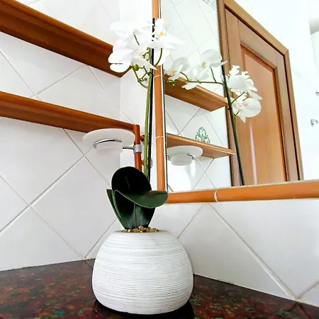 Apartman Soraya By Kenekita Olbia